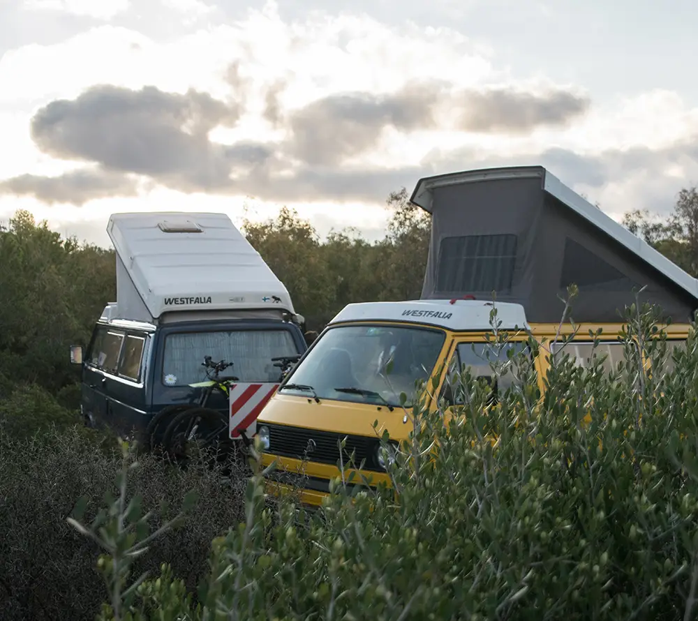 Two Volkswagen Westfalia camper vans, one blue and one yellow, are parked among green bushes with their pop-up roofs extended under a cloudy sunset sky—a perfect scene to remind travellers of the importance of Campervan Insurance.