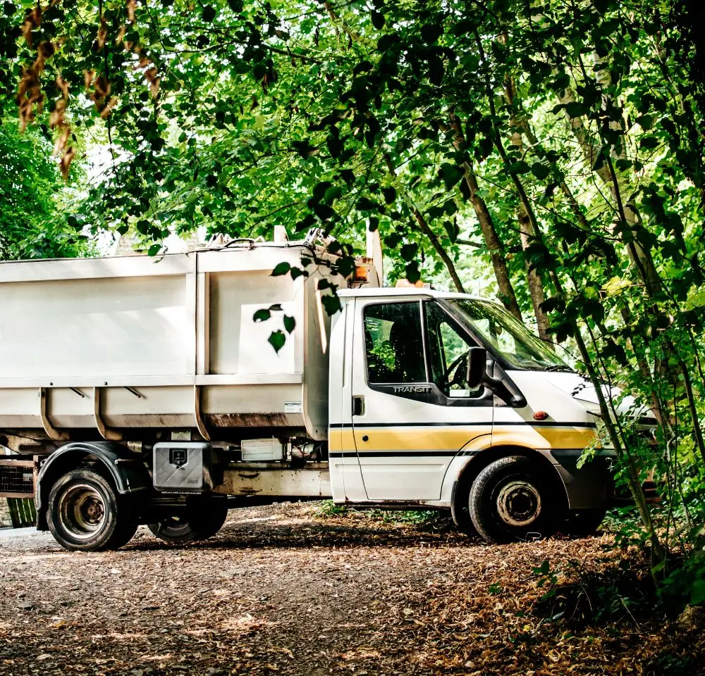 A white dumper truck, possibly used as an agricultural tipper, is parked on a dirt track surrounded by green trees and dense foliage in a forested area.