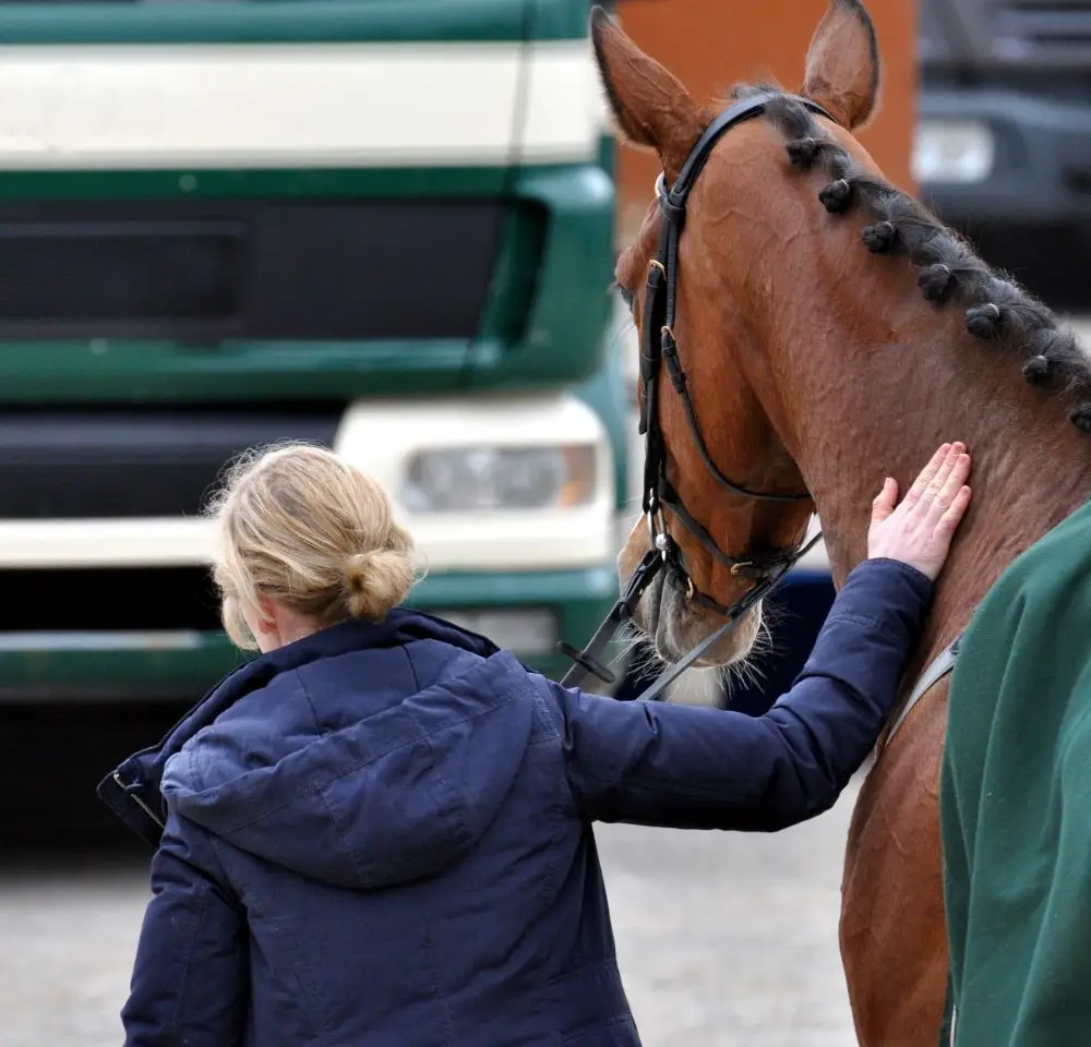 A person with blonde hair in a blue jacket stands beside a brown horse with plaited mane, gently resting a hand on its neck. Nearby, a large green and white vehicle offers reliable horse trailer breakdown cover outdoors.